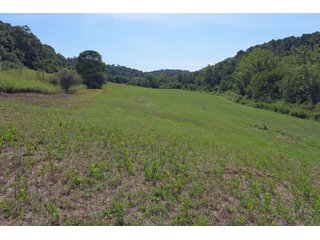 Tract 26 - Timberland & Farmland in Noble County, OH - LAND AUCTION - 12,200+/- ACRES OFFERED IN 65 TRACTS IN NOBLE COUNTY, OHIO